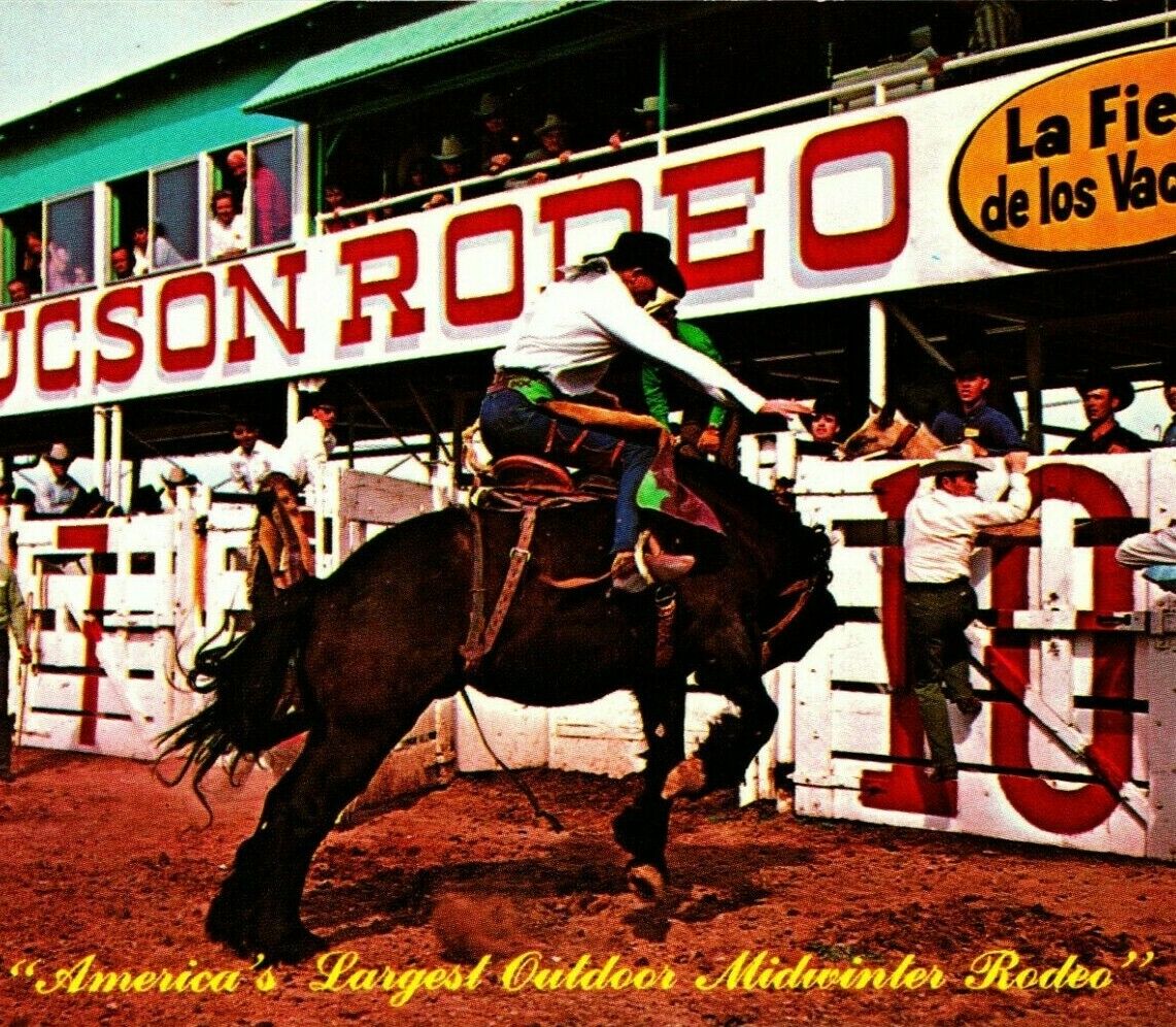 Cowboy On Bucking Bronco Tucson Rodeo Arizona Az Unp Chrome Postcard