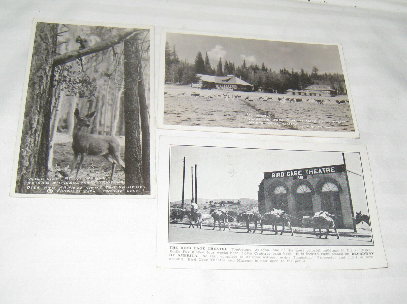 3 1904-50’s KAIBAB FOREST AZ REALPHOTO POSTCARDS “VT. RANCH WHERE THE DEER COME